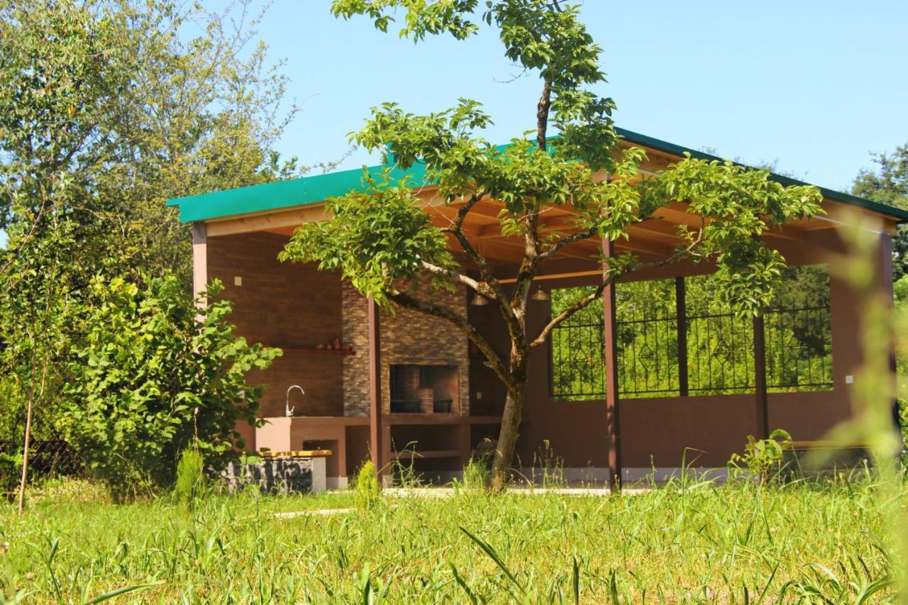 Villa Rokiti المظهر الخارجي الصورة