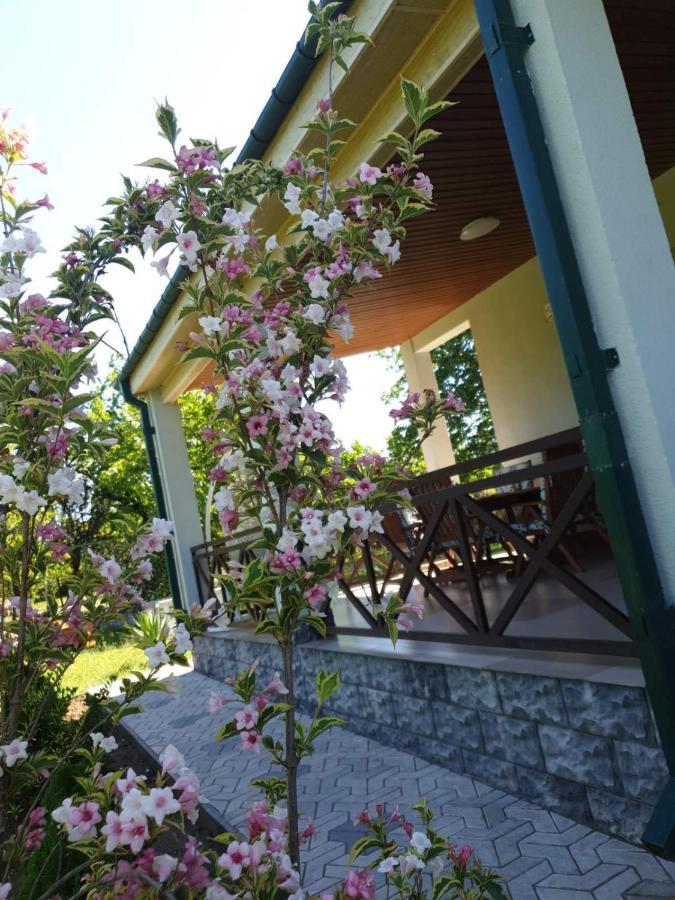 Villa Rokiti المظهر الخارجي الصورة