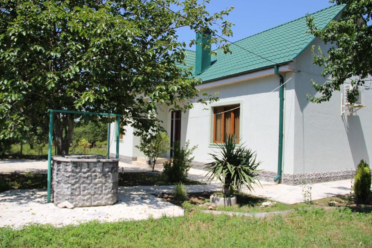 Villa Rokiti المظهر الخارجي الصورة