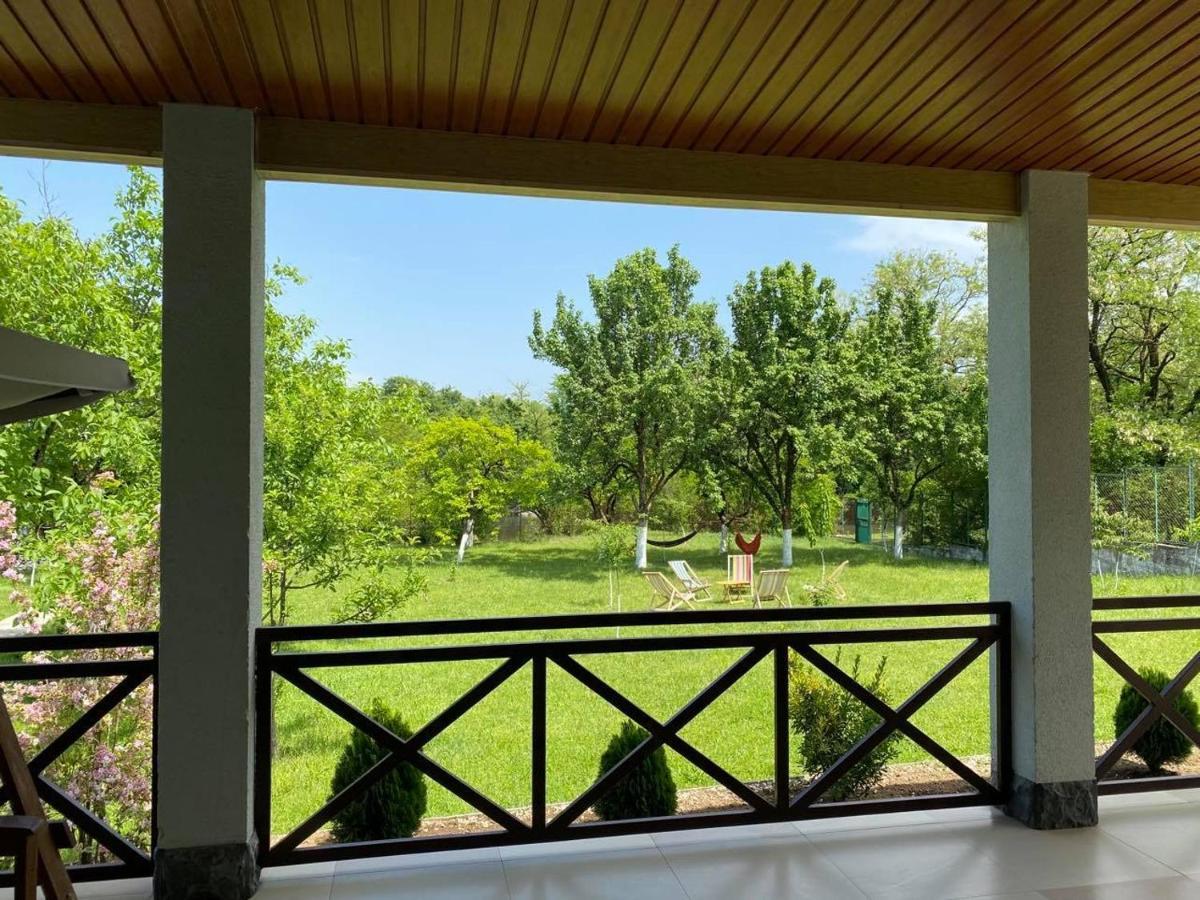 Villa Rokiti المظهر الخارجي الصورة