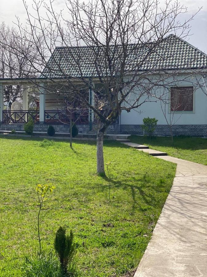 Villa Rokiti المظهر الخارجي الصورة