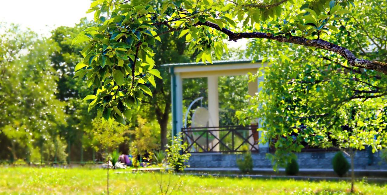 Villa Rokiti المظهر الخارجي الصورة